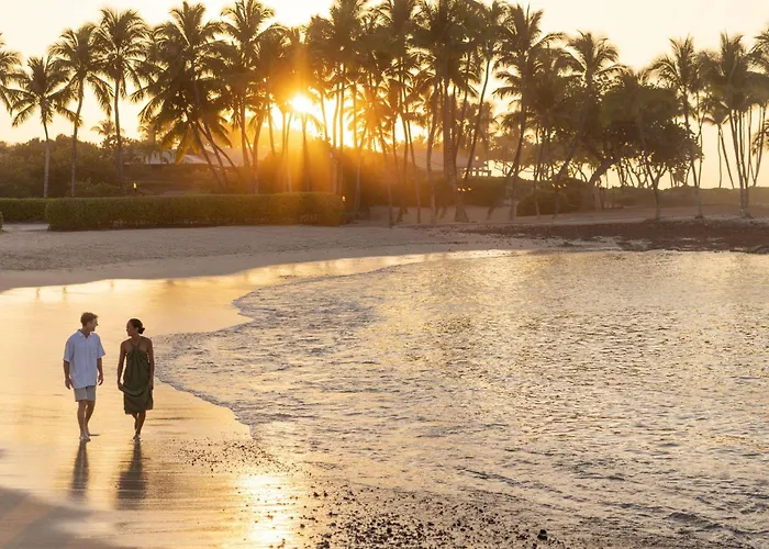 Fairmont Orchid